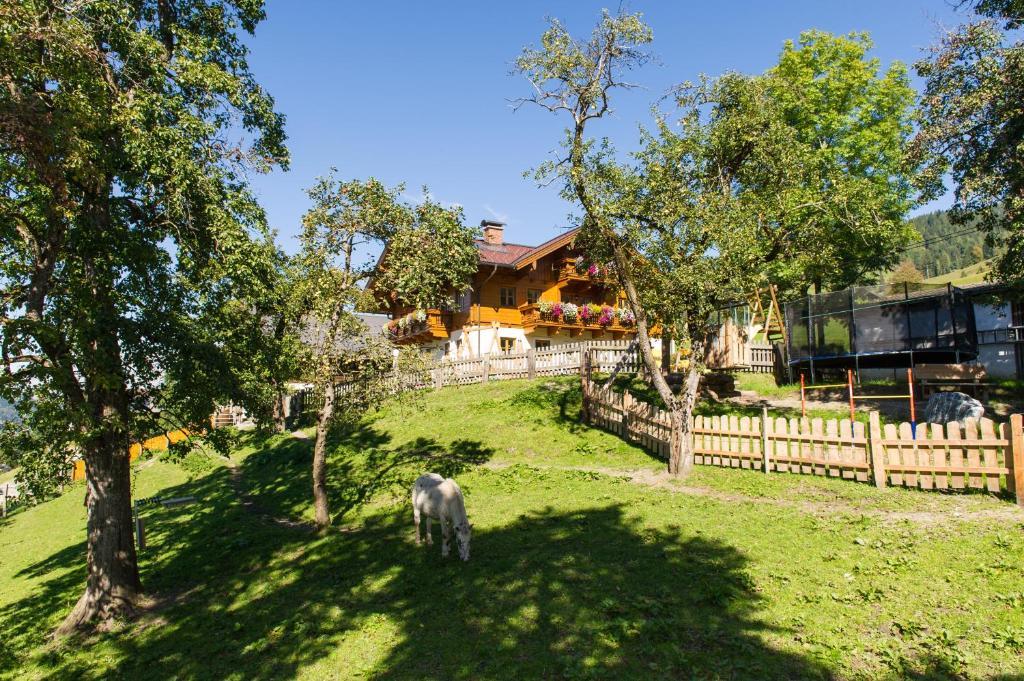 Appartements Lehenhof 蓬高圣约翰 外观 照片